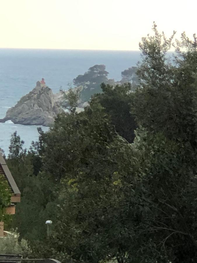 Apartmani Lime Petrovac エクステリア 写真