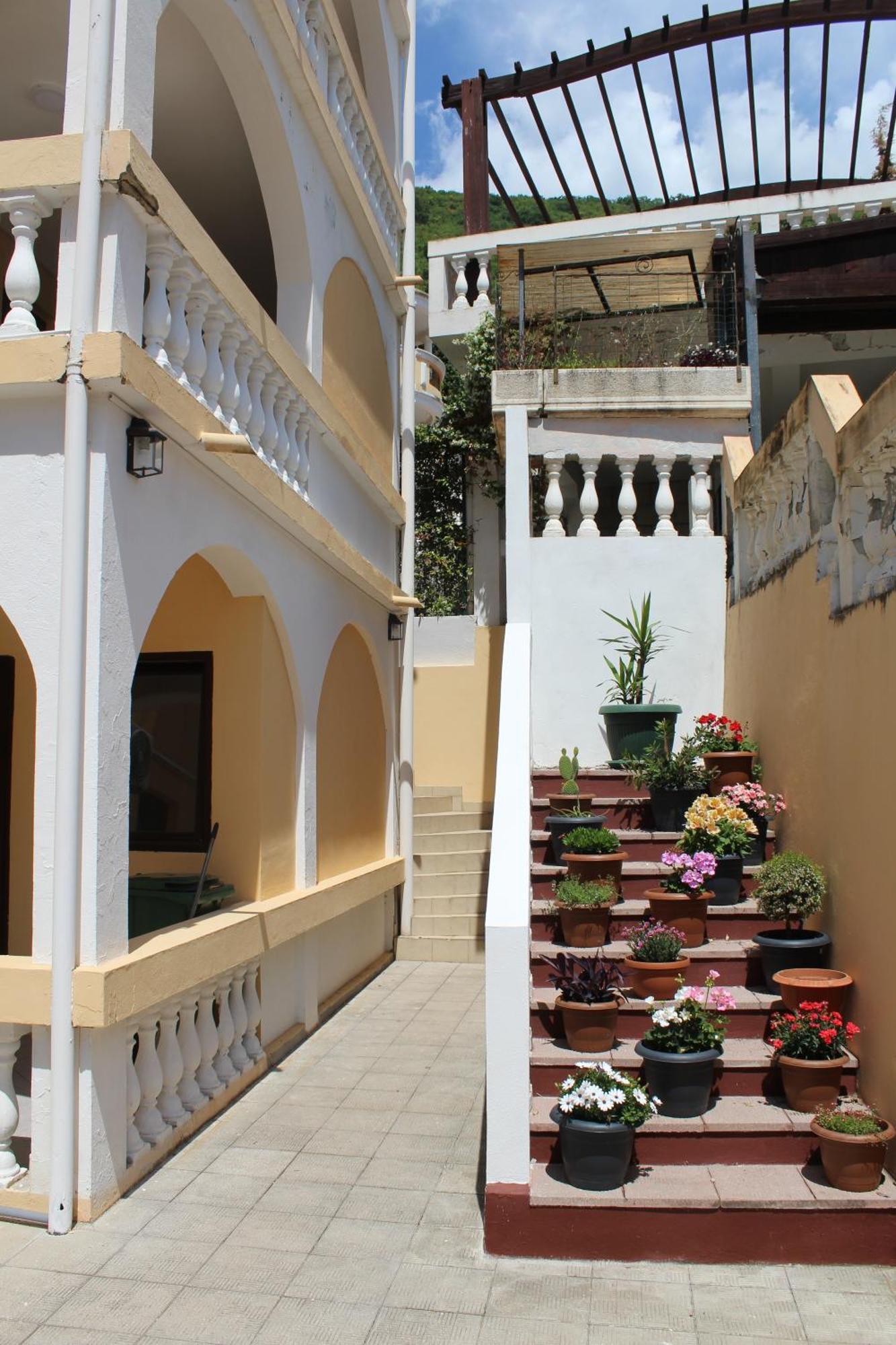 Apartmani Lime Petrovac エクステリア 写真